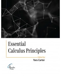 Essential Calculus Principles